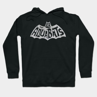 Aquabats \vintage Hoodie